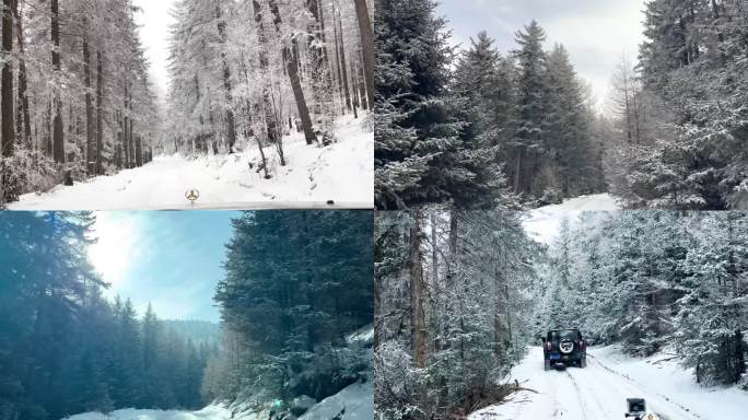 雪山森林雪景冰挂雾凇汽车越野车穿越雪地