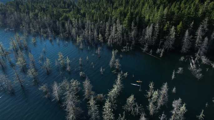 空中无人驾驶飞机拍摄到两名皮划艇手划过洪水淹没的森林