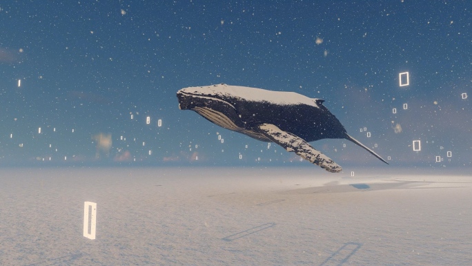 抽象概念艺术鲸鱼大海穿梭视频素材