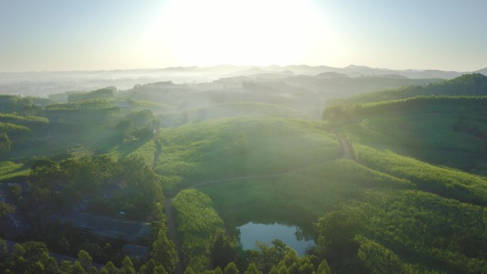 山林 太阳光 普照 早晨