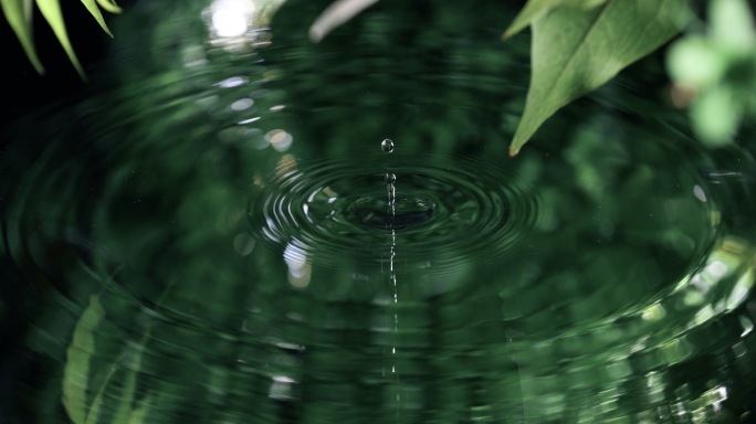 谷雨惊蛰雨水二十四节气水滴滴落水中