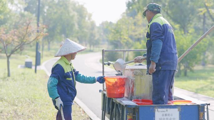 树木 养护秋冬保暖