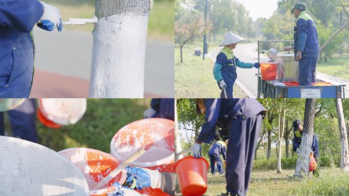 树木 养护秋冬保暖