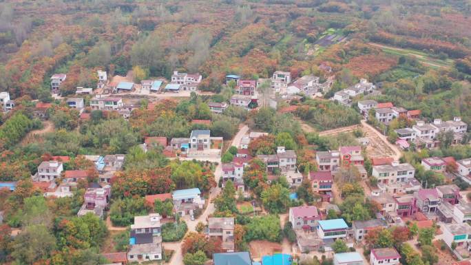 信阳光山乡村秋色航拍