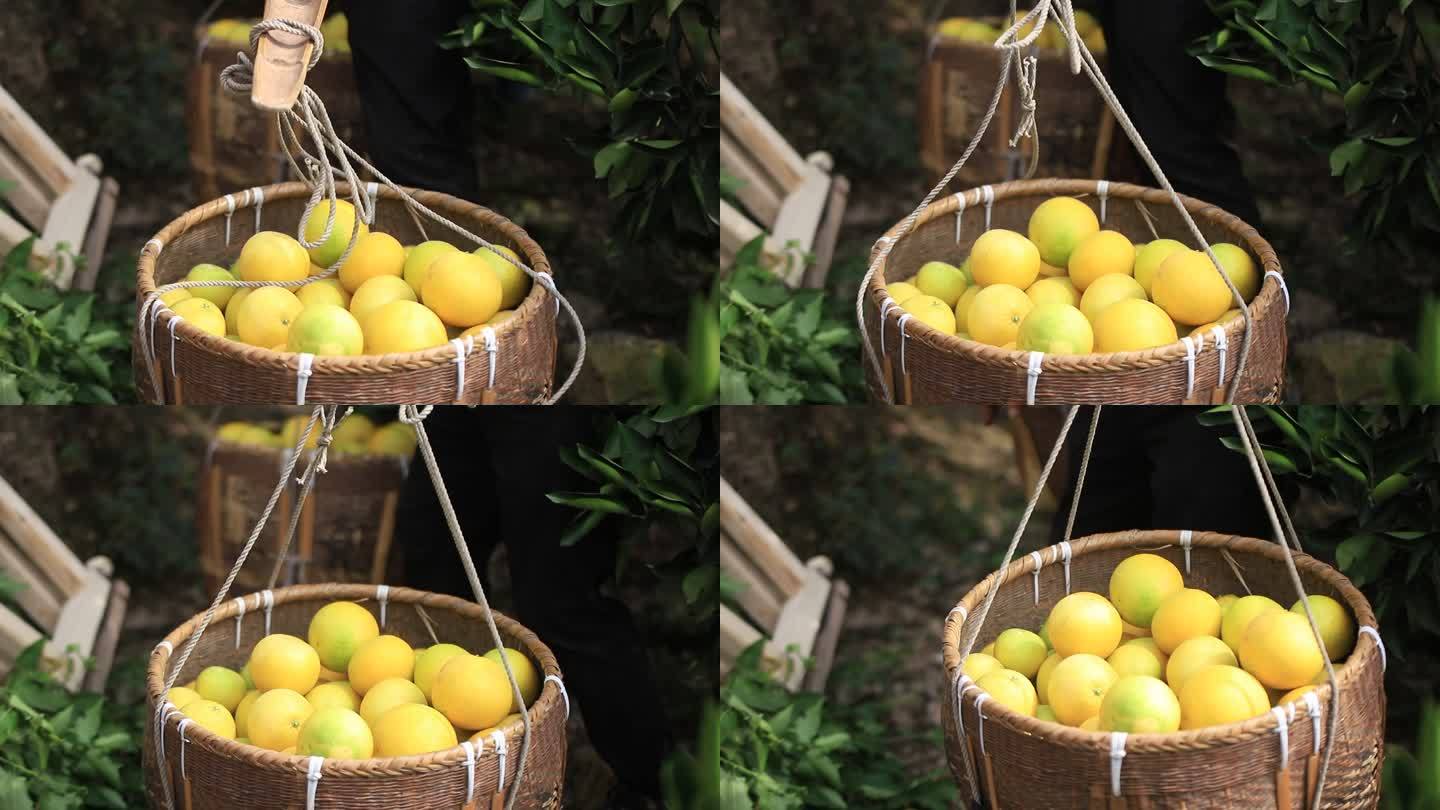 【原创】高清实拍箩筐里的柚子被挑起