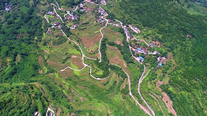 乡村小路道路入户