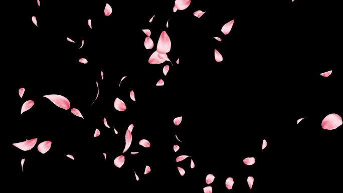 旋转飘动的粉色花瓣
