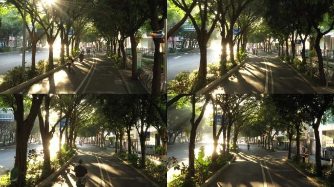 4k航拍阳光道路上班族