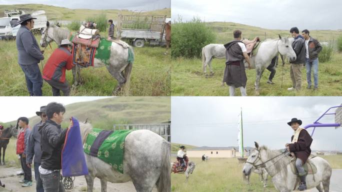 藏族为婚礼备马