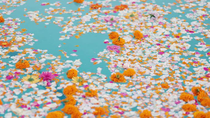 池上鲜花、艺术池装饰、彩色复制空间、花卉背景、婚礼装饰、黄色花朵、彩色背景