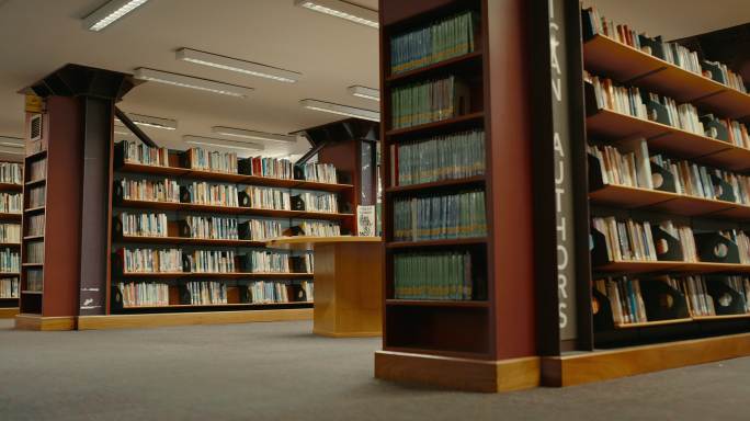 图书馆里一排排整齐的书架。安静空荡荡的图书馆里有各种各样的书。