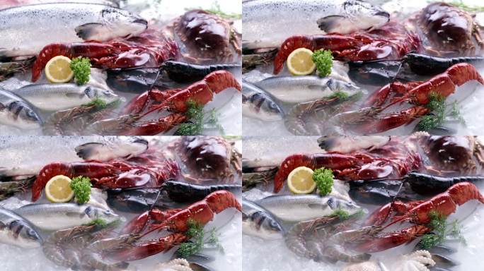 4K UHD Dolly backward：各种奢华的新鲜海鲜，龙虾、鲑鱼、鲭鱼、小龙虾、章鱼、贻贝