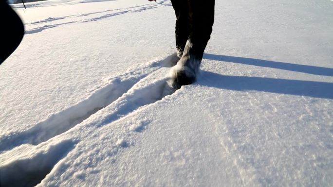 雪地跋涉