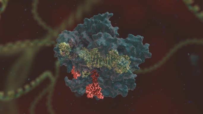 科学 突破 基因编辑 DNA 基因工程