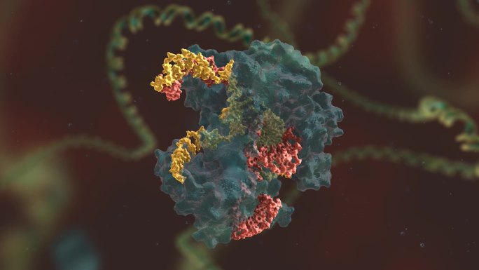 医学动画 基因编辑 DNA 基因工程