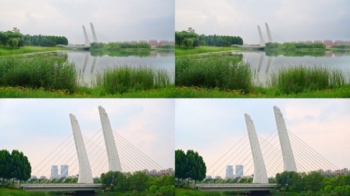 20220702郑州龙子湖大桥延时合集