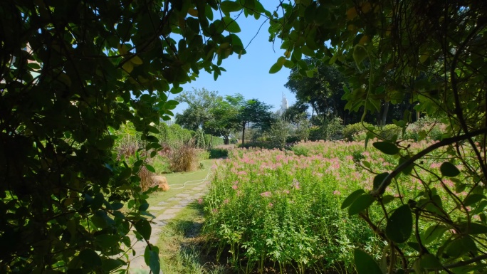 穿过植物拱门 秘密花园