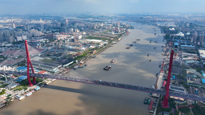 杨浦大桥航拍 5K50帧航拍素材