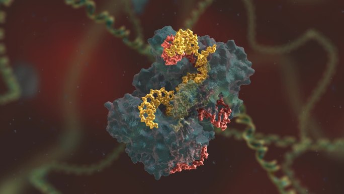 基因重组 基因编辑 DNA 基因工程