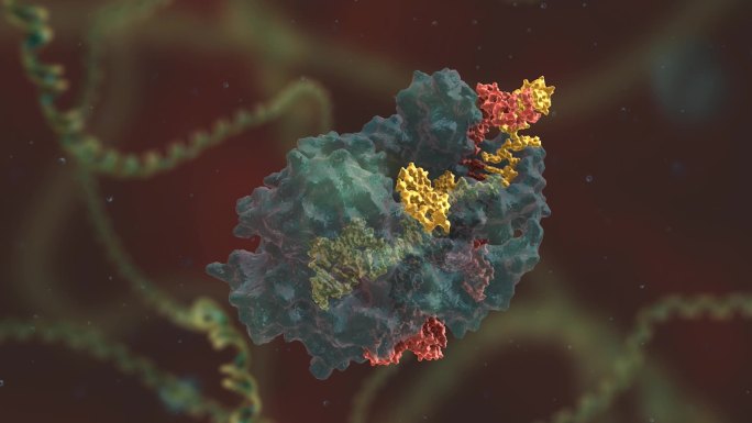 生命科学 基因编辑 DNA 基因工程