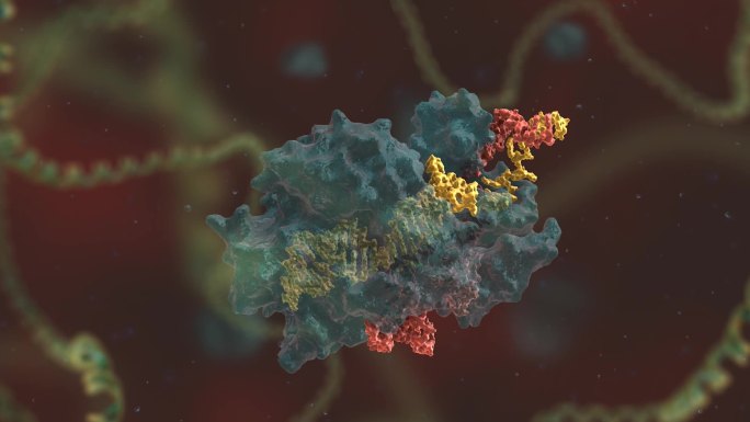 基因编辑 DNA 基因工程