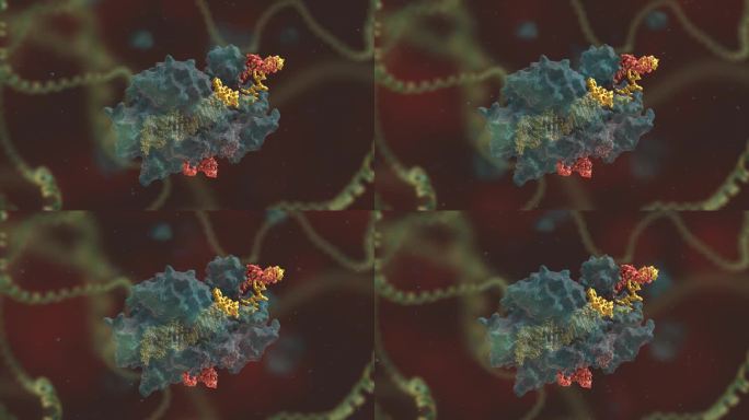 基因编辑 DNA 基因工程