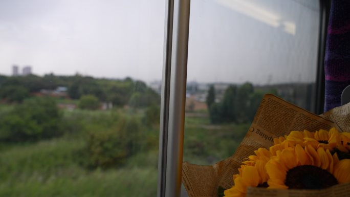高速行驶的高铁动车窗外风景文艺旅行