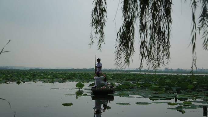 淮阳龙湖 荷花划船