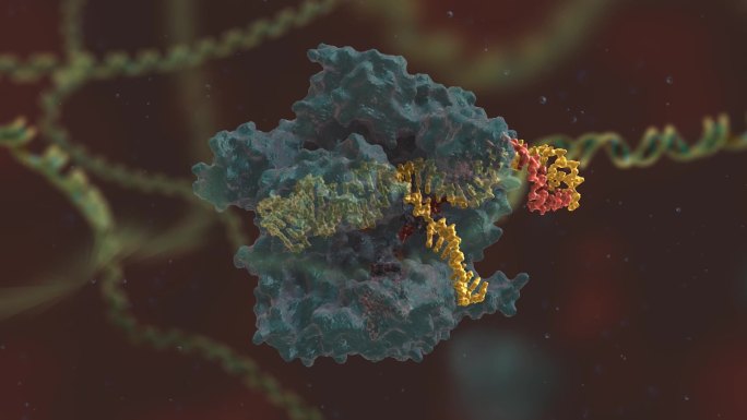 基因编辑 DNA 基因工程 科普动画