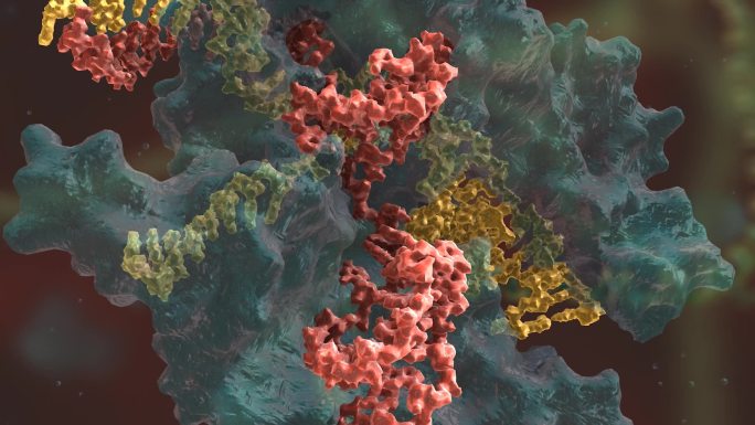 生物科学 基因编辑 DNA 基因工程