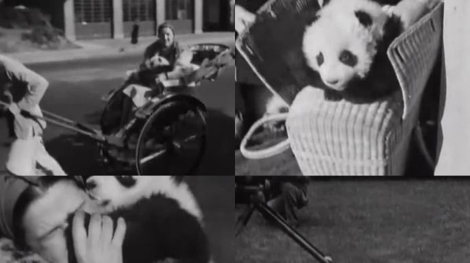 30年代 第一次出国的大熊猫