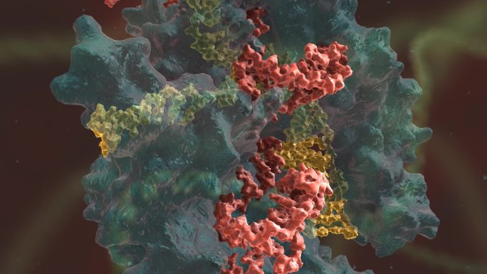 3D医学动画 基因编辑 DNA 基因工程