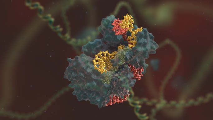 基因编辑 DNA 基因工程 遗传物质