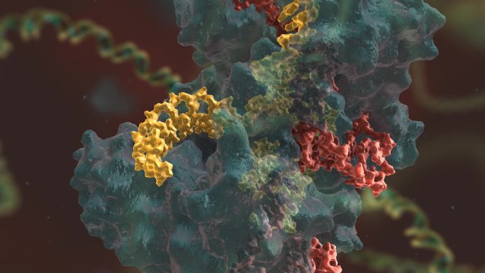 数字动画 基因编辑 DNA 基因工程