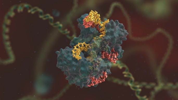 基因研究 基因编辑 DNA 基因工程