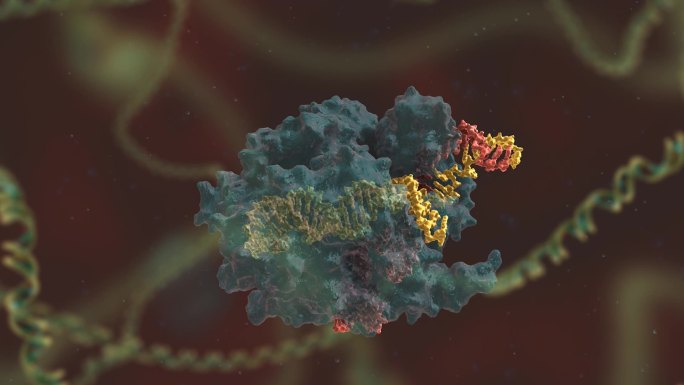 微生物学 基因编辑 DNA 基因工程