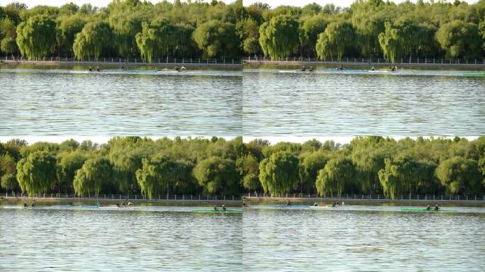 水上运动划船比赛