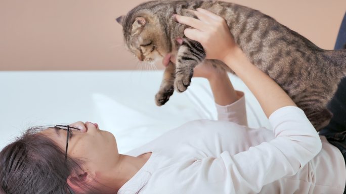 亚洲年轻女性与一只猫在床上休息，在家玩耍。宠物之爱