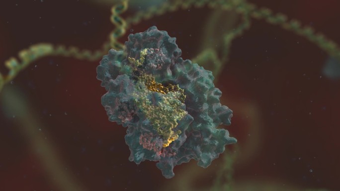 基因编辑 DNA 基因工程 基因突破