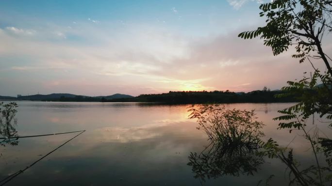 夕阳下水塘边垂钓延时