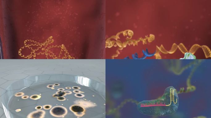 基因编辑 DNA 基因工程 生物工程动画