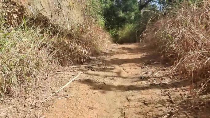 山路弯弯行走山路爬山小径横山道野草丛生