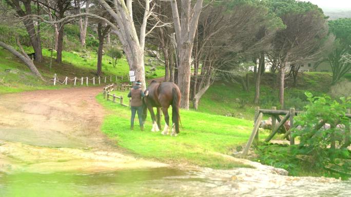 多情的女人在乡村小溪边抚摸着牧马
