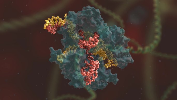 生物化学 基因编辑 DNA 基因工程