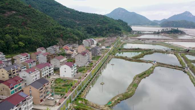 浙江台州三门横渡稻田航拍视频