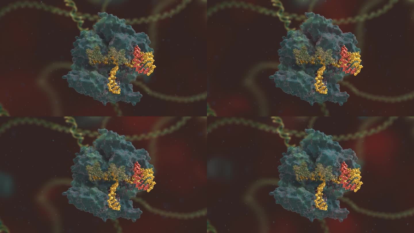 基因编辑 DNA 基因工程 生命科学动画