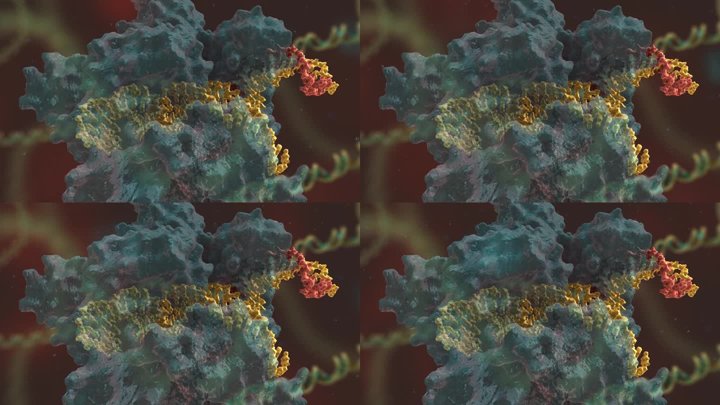 染色体 基因编辑 DNA 基因工程