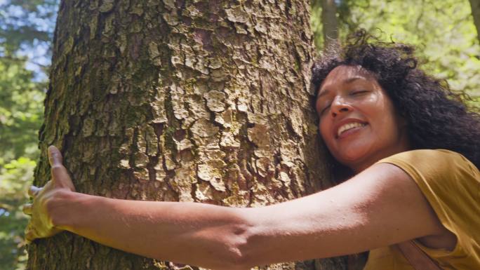 在阳光明媚的森林里拥抱一棵树的女人