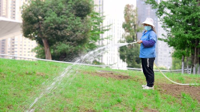 【4K】辛勤的园林工人给花草树木浇水