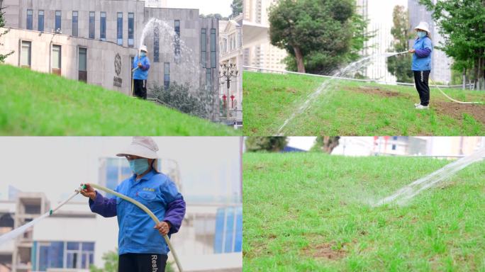 【4K】辛勤的园林工人给花草树木浇水